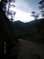 post-111234-0-23997200-1372945892_thumb.