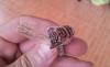 post-111234-13746341964296_thumb.jpg