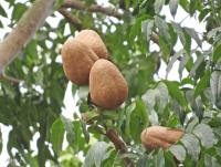 post-12069-0-12929900-1374534001_thumb.j