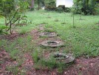 post-12069-0-32410300-1374581362_thumb.j