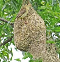 post-12069-0-56789500-1374619416_thumb.j