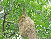 post-12069-0-59841800-1374619248_thumb.j