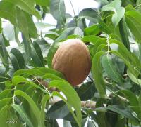 post-12069-0-59857600-1374533920_thumb.j