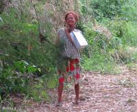 post-12069-0-61607600-1375275559_thumb.j