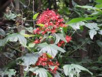 post-12069-0-62196400-1374405995_thumb.j