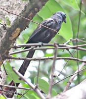 post-12069-0-96525600-1375230463_thumb.j