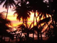 post-130732-0-81903500-1372759037_thumb.