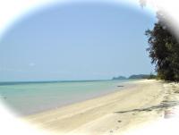 post-130732-0-93384000-1372758866_thumb.