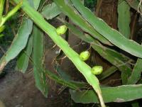 post-140056-0-38890600-1373172821_thumb.