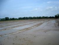 post-140056-0-62479900-1372834002_thumb.