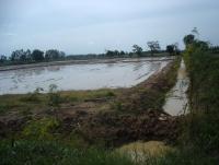 post-140056-0-97190200-1372833924_thumb.