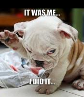 post-147583-13729923334944_thumb.jpg