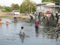 post-151569-0-69918400-1372740647_thumb.