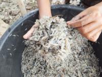 post-151569-0-80820300-1372740677_thumb.