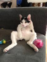 post-157118-0-43335700-1373290819_thumb.