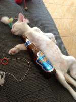 post-157118-0-45820300-1373290706_thumb.