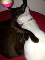 post-157118-0-52937000-1373290663_thumb.