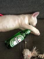 post-157118-0-96317100-1373290685_thumb.