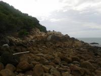 post-17753-0-08793500-1374465134_thumb.j