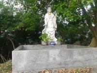 post-17753-0-10700700-1374465500_thumb.j