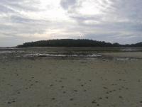 post-17753-0-32020500-1374465622_thumb.j