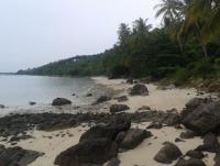 post-17753-0-39537600-1374812740_thumb.j