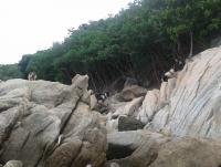 post-17753-0-75471700-1374465264_thumb.j