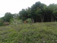 post-17753-0-75979400-1374465534_thumb.j