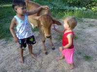 post-20314-0-70186800-1373273547_thumb.j