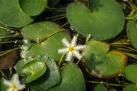 post-25023-0-04254800-1373033676_thumb.j