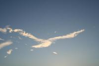 post-25023-0-61028800-1372987397_thumb.j