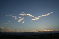 post-25023-0-93062900-1372986947_thumb.j