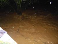 post-29019-0-85216200-1374290402_thumb.j