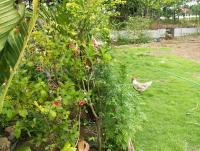 post-32351-0-25042900-1373352174_thumb.j