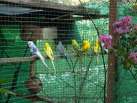 post-32351-0-29408500-1373324651_thumb.j