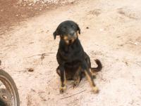 post-32351-0-36636100-1373324868_thumb.j