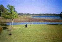 post-35218-0-58614500-1373015798_thumb.j