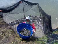 post-42398-0-92175600-1373031186_thumb.j