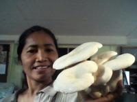 post-56811-0-30284800-1374456184_thumb.j