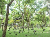 post-57055-0-07168700-1375070386_thumb.j