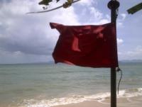 post-70928-0-08061900-1372961066_thumb.j