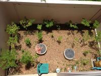 post-10894-0-31965700-1405880981_thumb.j