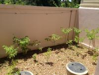 post-10894-0-37748200-1405881051_thumb.j