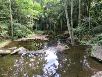 post-12069-0-50517600-1406285499_thumb.j