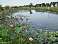 post-12069-0-77953000-1405048930_thumb.j