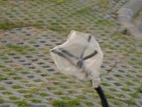 post-123383-0-59995500-1405054340_thumb.