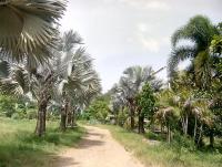 post-135557-0-17652100-1406516503_thumb.