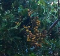 post-140056-0-04337800-1405747161_thumb.