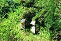 post-140056-0-84144100-1405824632_thumb.