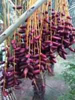 post-14625-0-87339500-1404218385_thumb.j